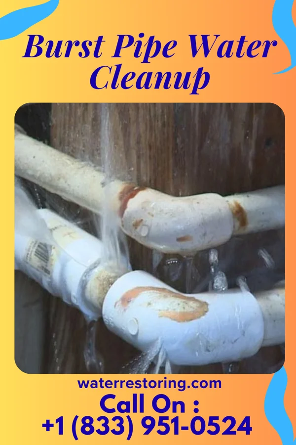 Burst Pipe Water Cleanup in Pinardville, NH