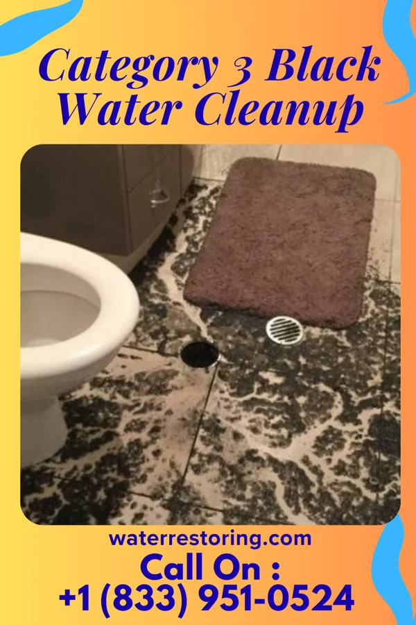 Category 3 Black Water Cleanup in Pinardville, NH