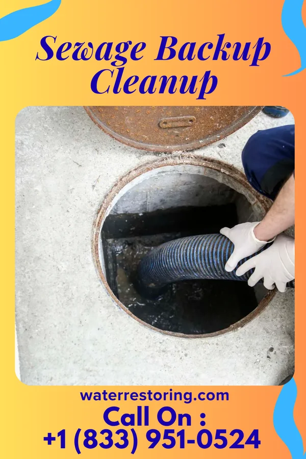 Sewage Backup Cleanup in Pinardville, NH
